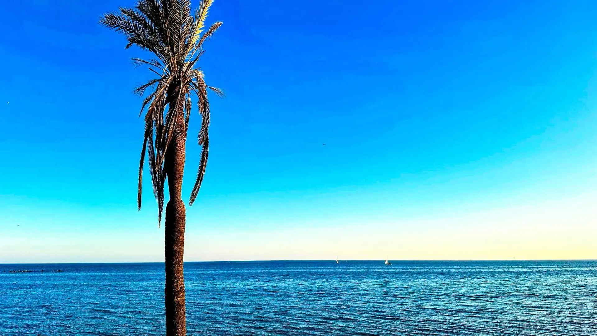 Apartment Estudio Francisco Agata Benalmadena Spain