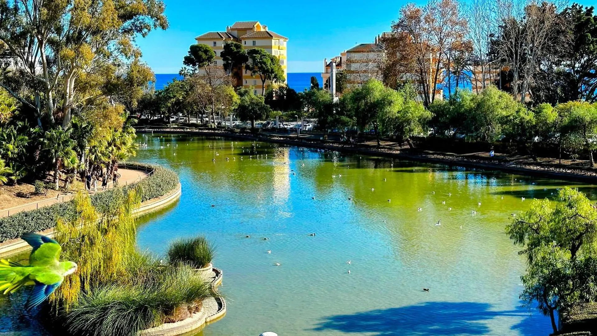 Apartment Estudio Francisco Agata Benalmadena