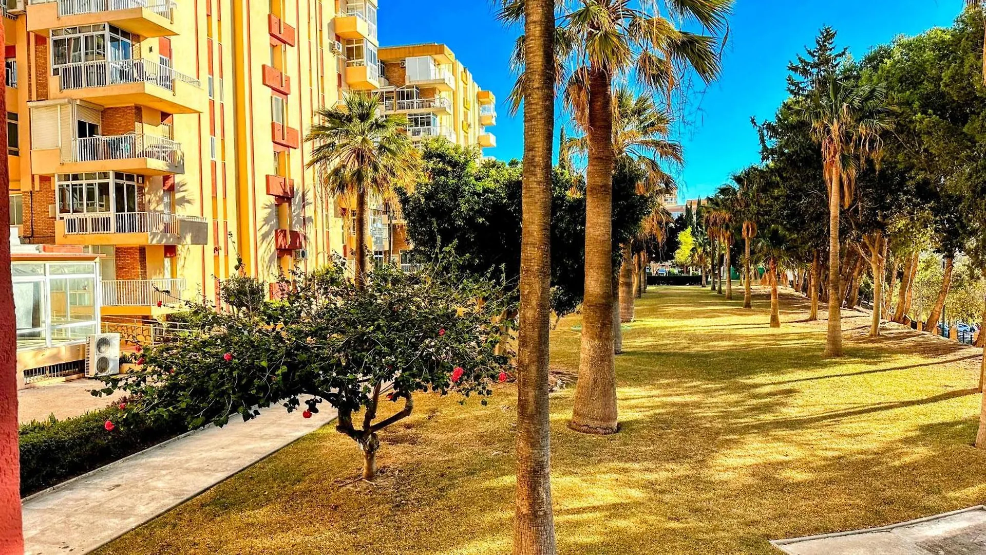 Estudio Francisco Agata Benalmadena 0*,  Spain